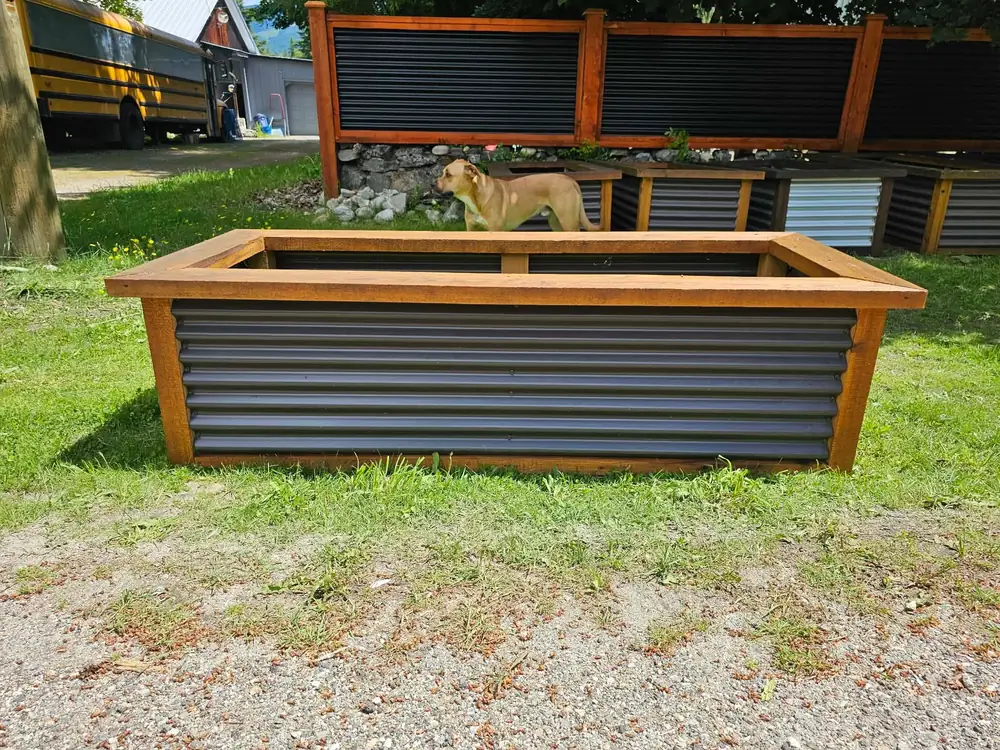 Cedar-framed corrugated metal planter box built on a lawn